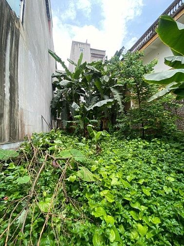 Cần bán  137m ĐẤT, Bát Khối,long Biên MT 7.5m giá 15 TỶ ,oto KD