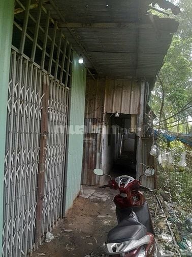 Cho thuê nhà và đất gần 500m2 bao gồm 7 căn nhà trọ 1 kho và đất trống