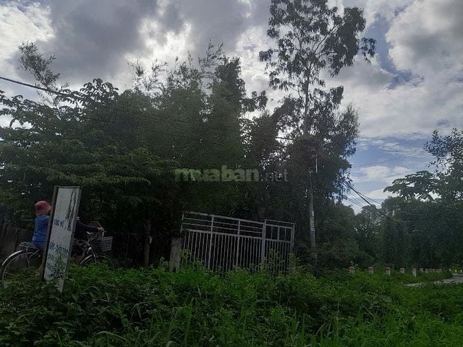 Cho thuê nhà và đất gần 500m2 bao gồm 7 căn nhà trọ 1 kho và đất trống