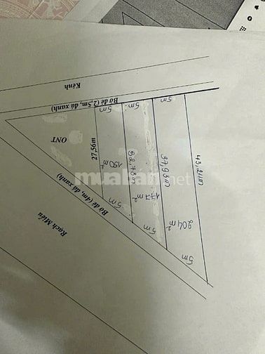 Bán đất thổ cư sổ riêng từng nền.  Ấp 1 xã Bình Đức, huyện Bến Lức