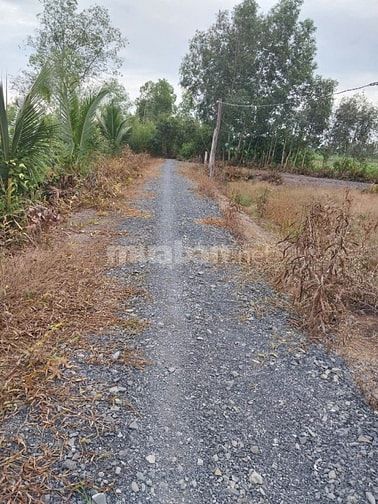 Bán đất thổ cư sổ riêng từng nền.  Ấp 1 xã Bình Đức, huyện Bến Lức