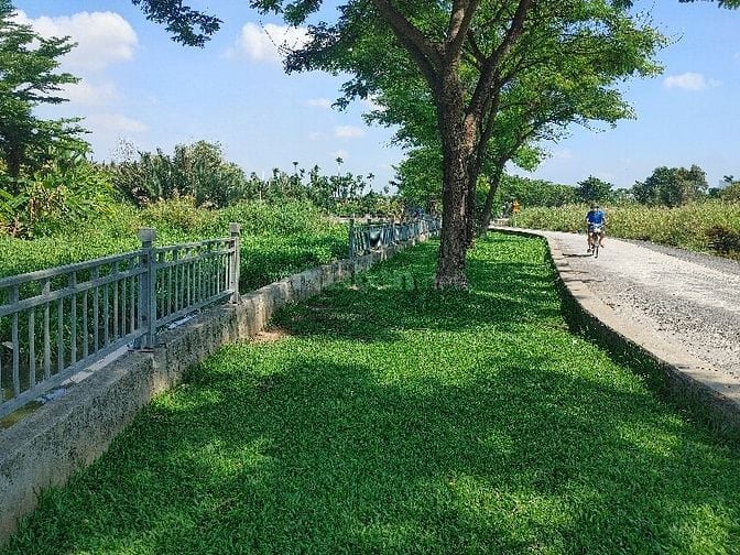Tuyển KS quản lí dự án Cơ Điện