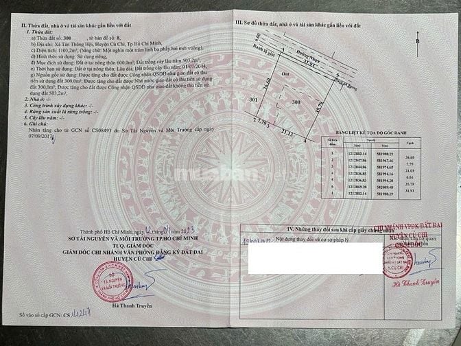 ĐẤT BIỆT THỰ CÁCH 150M CHỢ VIỆT MỸ
