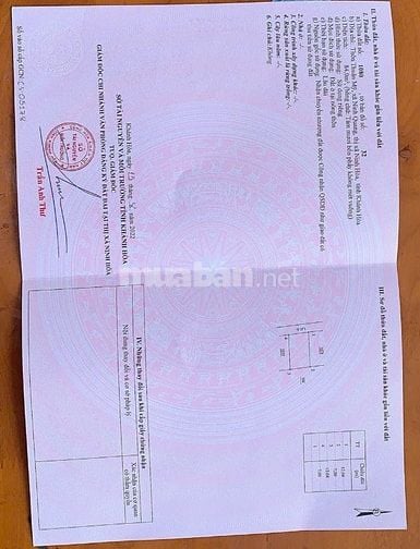 Đất Nền Thổ Cư Phường Ninh Quang - TX. Ninh Hoà 