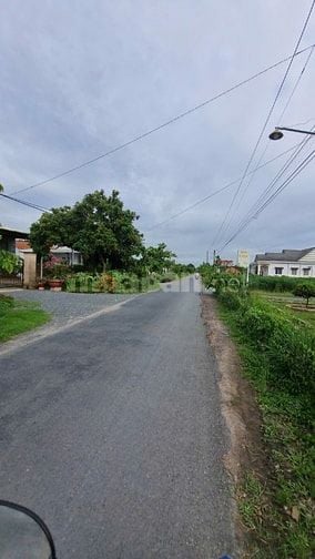 310m2 đất CLN Thị xã Trảng Bàng. Ngang 6,5m giá 600tr 