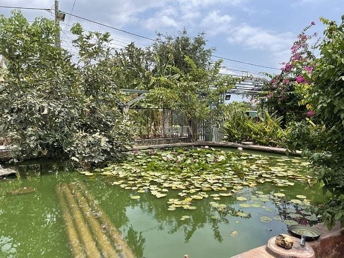 Bán đất Trịnh Đình Thảo, TP Bà Rịa
