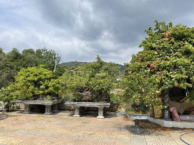 Bán đất Trịnh Đình Thảo, TP Bà Rịa