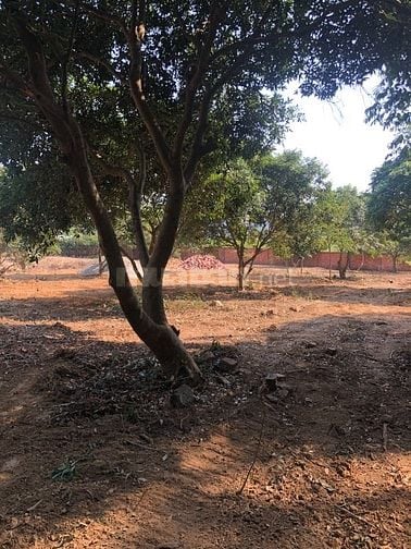Bán 850 m2 đất đường Lê Duẩn,hồ Đải Lải, xã Ngọc Thanh, Phúc Yên.