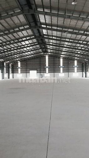 Cho thuê nhà xưởng 5.000m2 mới xây, giá chỉ từ 3.5 usd/m2 , Long An