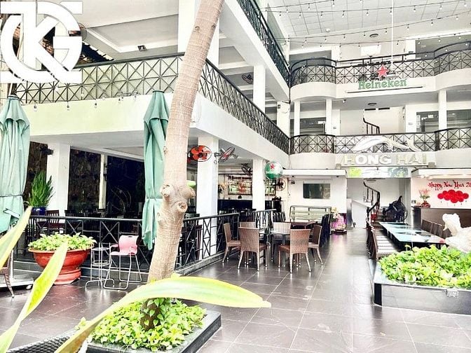 [ QUẬN 3 ] Cho Thuê Nhà: 236 Pasteur - 22x28m, 1 hầm, 4 tầng