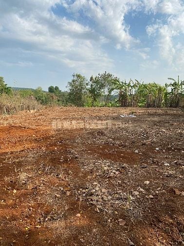 BÁN ĐẤT NN( CLN) MẶT TIỀN ĐƯỜNG QUÃNG PHÚ, PHƯỚC AN,BCHÂU ĐỨC,BRVT