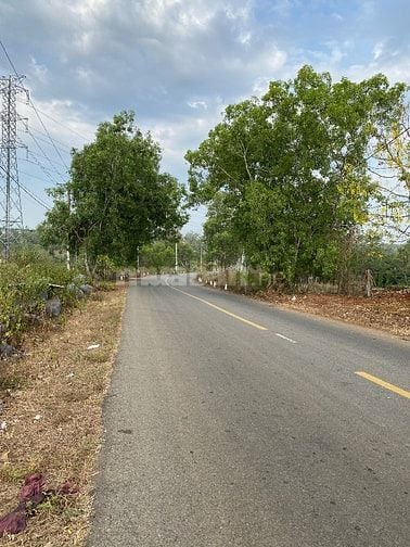 BÁN ĐẤT NN( CLN) MẶT TIỀN ĐƯỜNG QUÃNG PHÚ, PHƯỚC AN,BCHÂU ĐỨC,BRVT