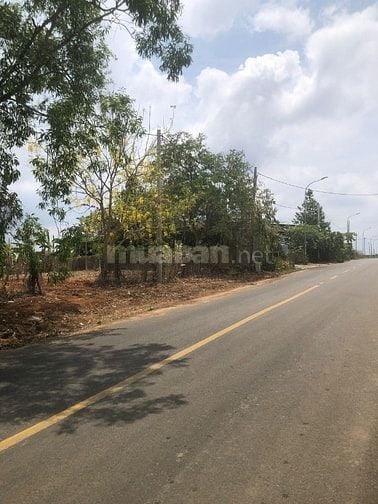 BÁN ĐẤT NN( CLN) MẶT TIỀN ĐƯỜNG QUÃNG PHÚ, PHƯỚC AN,BCHÂU ĐỨC,BRVT