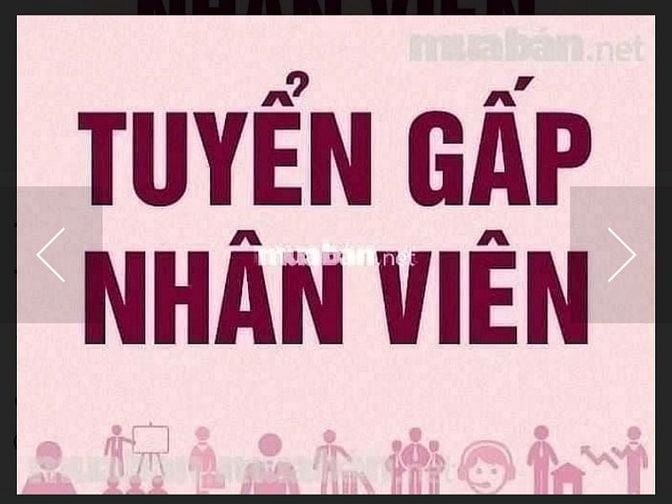 Cần gấp 3 phụ giao hàng xe tải và 2 giao hàng xe máy