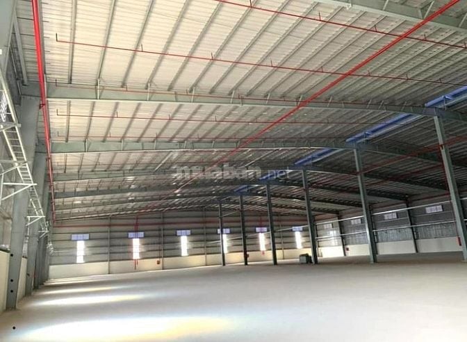 Cho thuê nhà xưởng 10.000m² giá siêu rẻ tại Long An, người nước ngoài 