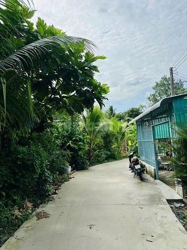 Bán gấp căn nhà cấp 4 ở Hồ Thị Lai , Tân Phú Trung 120m2 SHR giá 750tr