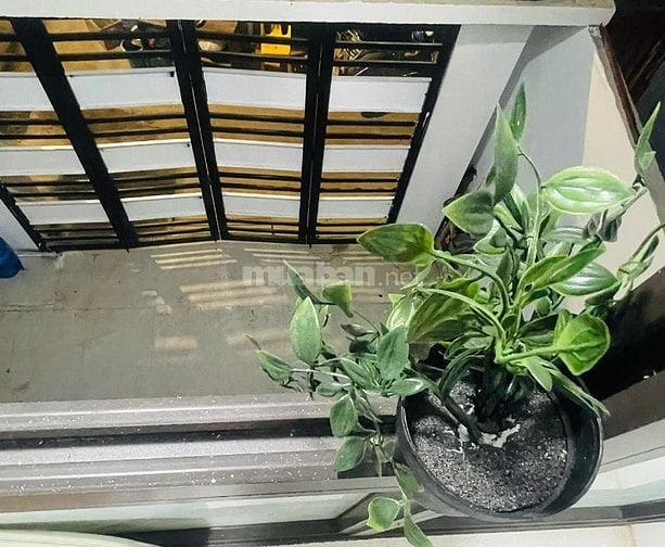 Cho thuê phòng full đồ phố Đào Tấn, gần công viên Thủ Lệ, Ba Đình 