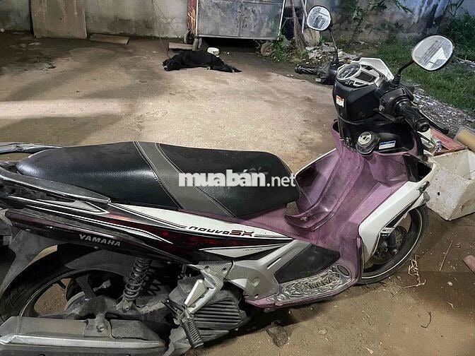 Cần bán nhanh novo 4