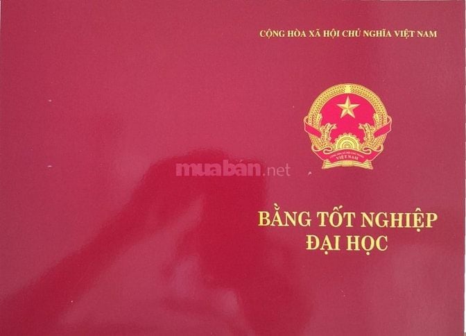 tìm đối tác thực hiện các  việc liên quan về xây dựng 