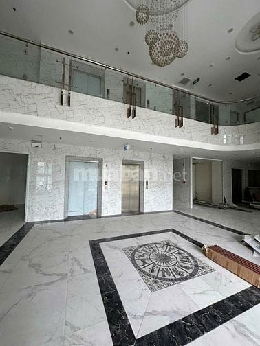 Chính chủ cho thuê toà nhà 241 Vũ Tông Phan, Thanh Xuân