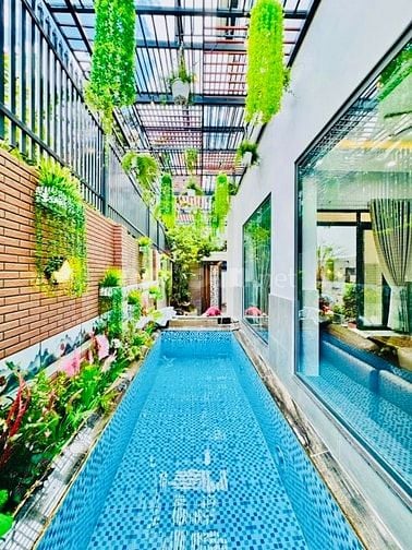 Bán nhà Biệt thực đẹp HỒ BƠI, THANG MÁY (15x20) 20/34 Đường 8 Gò Vấp