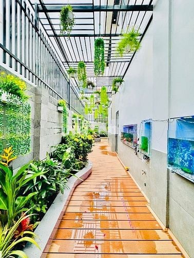 Bán nhà Biệt thực đẹp HỒ BƠI, THANG MÁY (15x20) 20/34 Đường 8 Gò Vấp