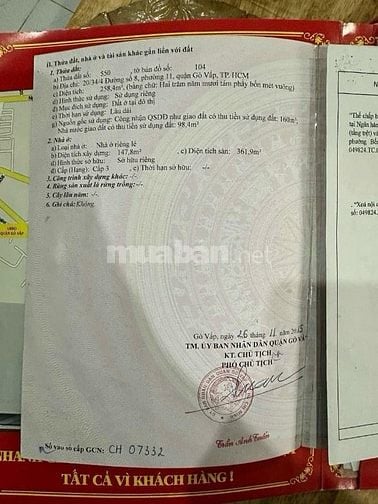 Bán nhà Biệt thực đẹp HỒ BƠI, THANG MÁY (15x20) 20/34 Đường 8 Gò Vấp