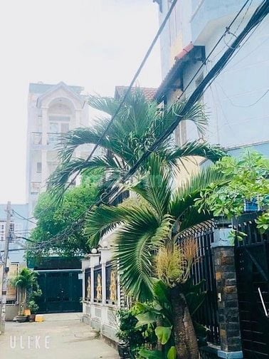 Bán nhà hẻm xe hơi (8x15) 145/ Trần Bá Giao p5  Gò Vấp 