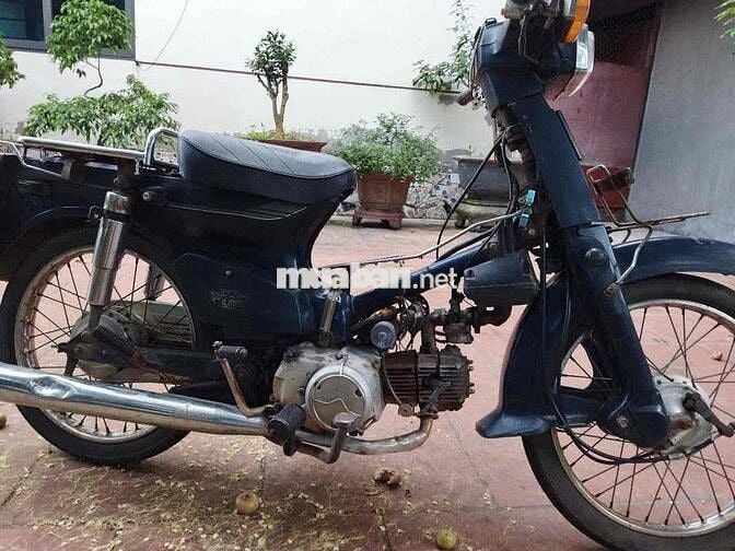 xe cup 50cc học sinh lên hơi khoẻ
