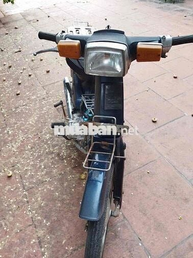 xe cup 50cc học sinh lên hơi khoẻ