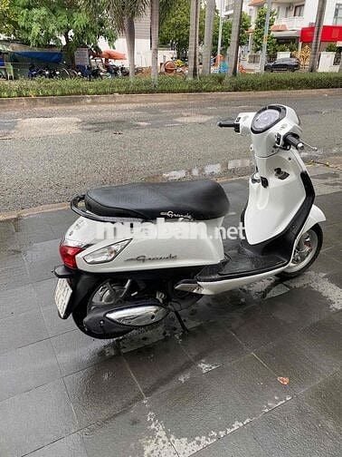 Grander Fi(2016)bst49,xe đẹp keng,máy móc zin  êm