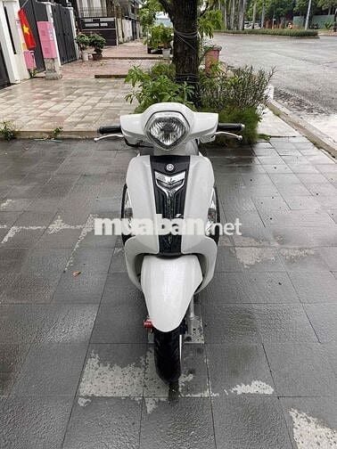 Grander Fi(2016)bst49,xe đẹp keng,máy móc zin  êm
