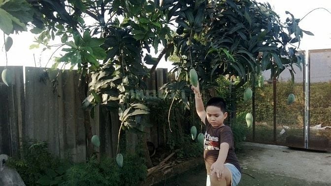 Nhượng đất xưởng sản xuất khu Vườn Đào Nhật Tân quận Tây Hồ Hà Nội 