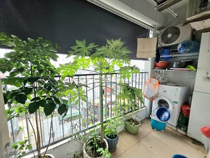 BÁN CHUNG CƯ THĂNG LONG GARDEN - 250 MINH KHAI: 93m2 3 ngủ