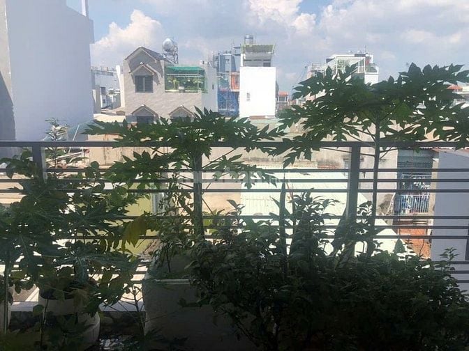 Huỳnh Tấn Phát  Tân Thuận Đông Tân Thuận Tây– 50m² đất – 115m² sàn sử 
