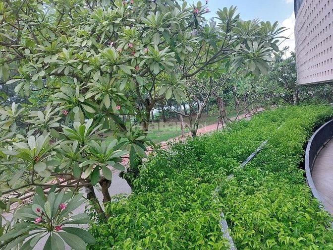 Bán biệt thự KDC 6B intresco Phạm Hùng Bình Hưng, Bình Chánh.