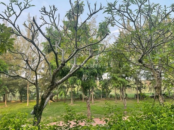 Bán biệt thự KDC 6B intresco Phạm Hùng Bình Hưng, Bình Chánh.