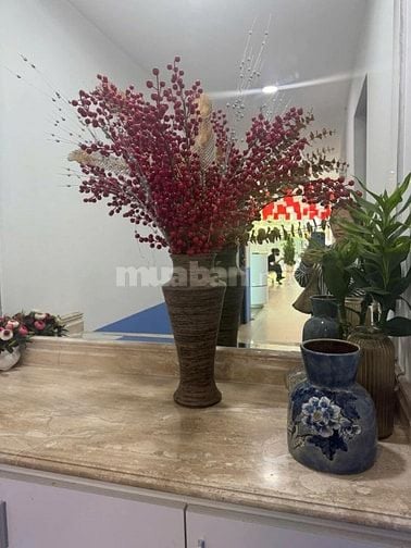 Bán Toà Nhà Building Mặt Phố Bùi Thị Xuân 133m, 12 tầng, mt 7m, 160 tỷ