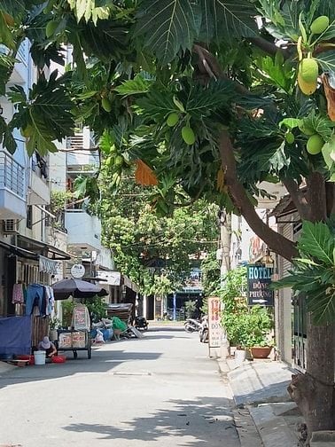 NhàGóc 2 Mặt tiền số 59 đườngsố 18,P. BHH(ĐoạnGiữaPhanĐăngGiảngvàQL1A)