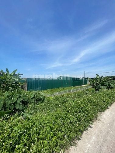 Nhượng lại 1095m2 đất phi nông nghiệp tại Huyện Gia Lâm, giá 2,5tr/m2