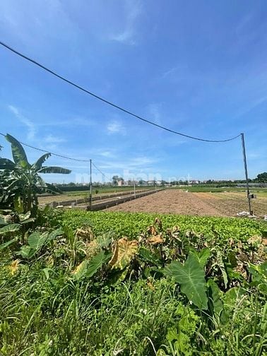 Nhượng lại 1095m2 đất phi nông nghiệp tại Huyện Gia Lâm, giá 2,5tr/m2