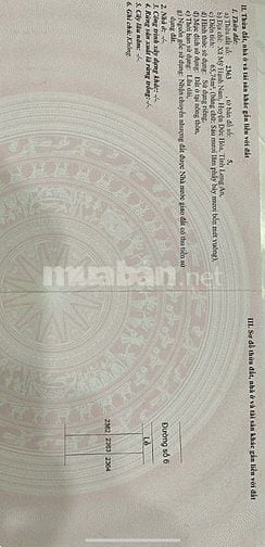 Bán đất mặt tiền đường số 6 xã Mỹ Hạnh Nam