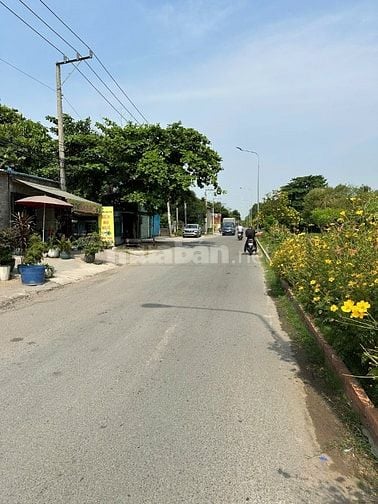 CHÍNH CHỦ BÁN LÔ ĐẤT (BIỆT THỰ VƯỜN) HÓC MÔN GIÁ 3.95 TỶ CÒN BỚT LỘC