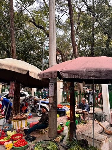Bán TT tầng 1 mặt ngõ chợ 35 kim mã thượng 4,3 tỷ