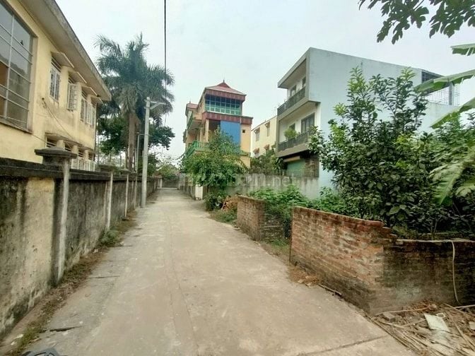 🌿 CẦN BÁN 2 LÔ ĐẤT VUÔNG ĐẸP NHƯ PHÂN LÔ TẠI XÃ PHƯỢNG SƠN, QUỐC OAI 