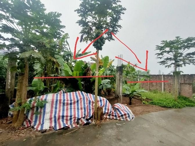 🌿 CẦN BÁN 2 LÔ ĐẤT VUÔNG ĐẸP NHƯ PHÂN LÔ TẠI XÃ PHƯỢNG SƠN, QUỐC OAI 