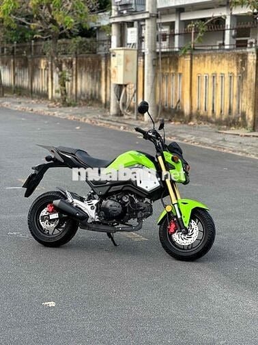 Msx nhập thái biển 43 ngay chủ