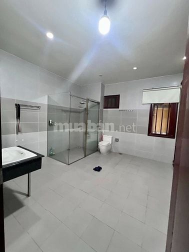Biệt thự gỗ quý hiếm khu Phú Định , An Dương Vương, Quận 8, TP. HCM