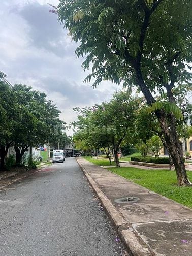 Biệt thự gỗ quý hiếm khu Phú Định , An Dương Vương, Quận 8, TP. HCM