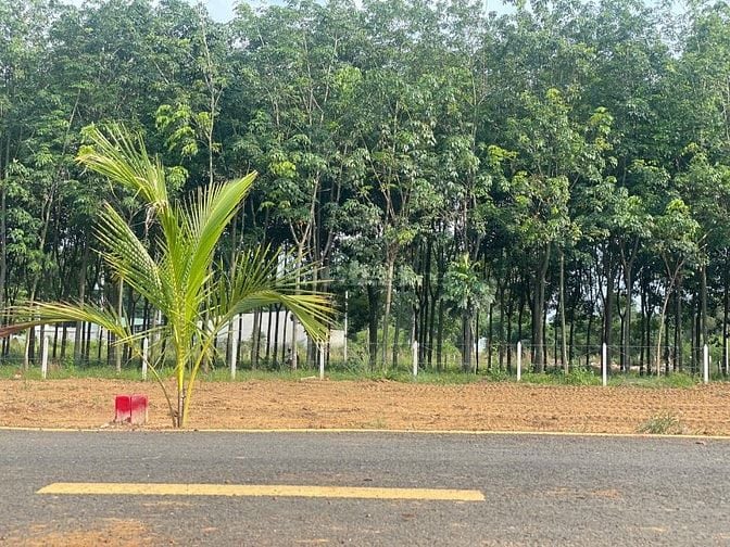 LÔ ĐÁT TÂN ĐỊNH THÀNH PHỐ MỚI BÌNH DƯƠNG 460TR CÒN MỖI LÔ DUY NHẤT 